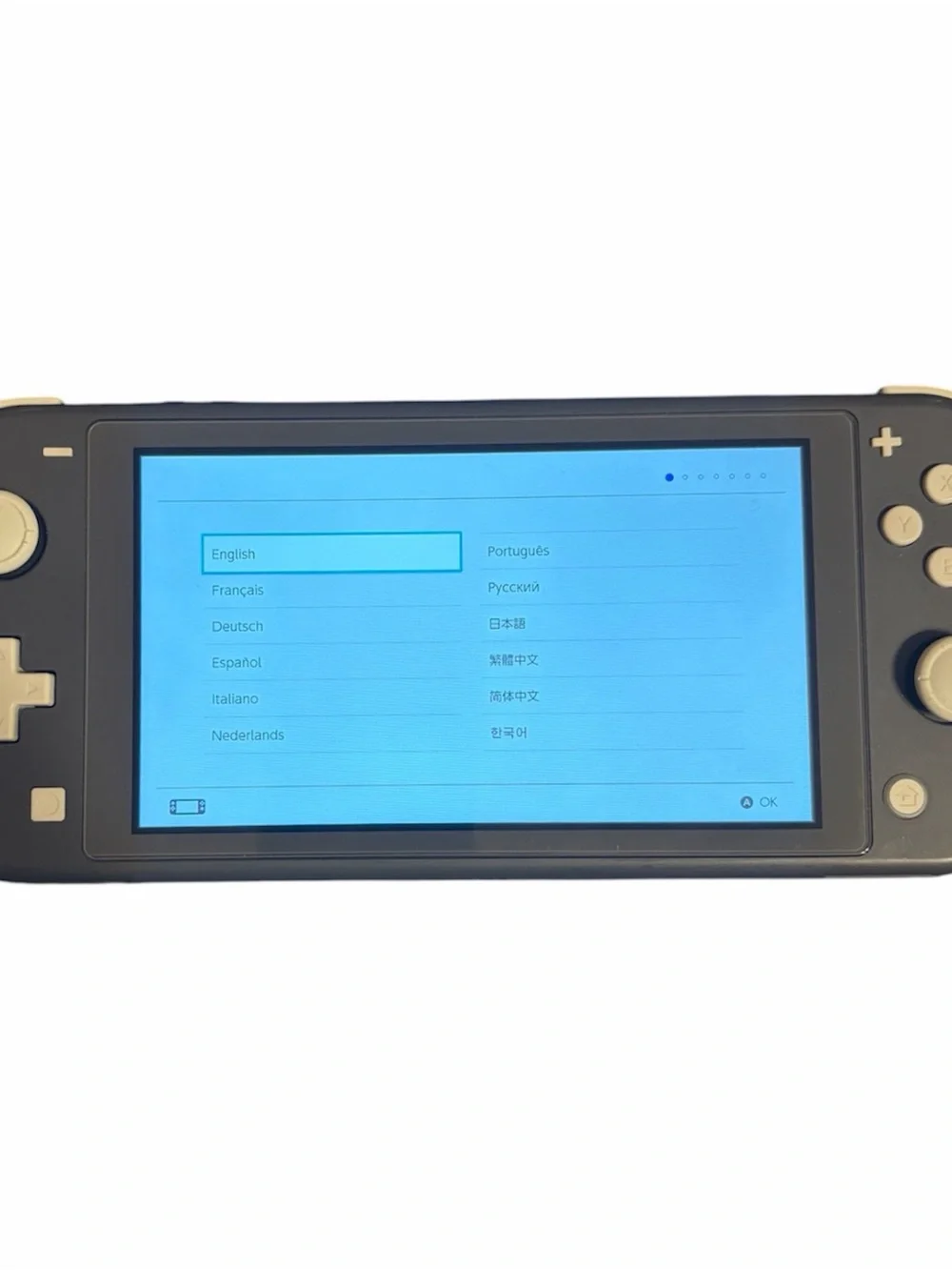 Nintendo Gray Handheld Console with Protective Case